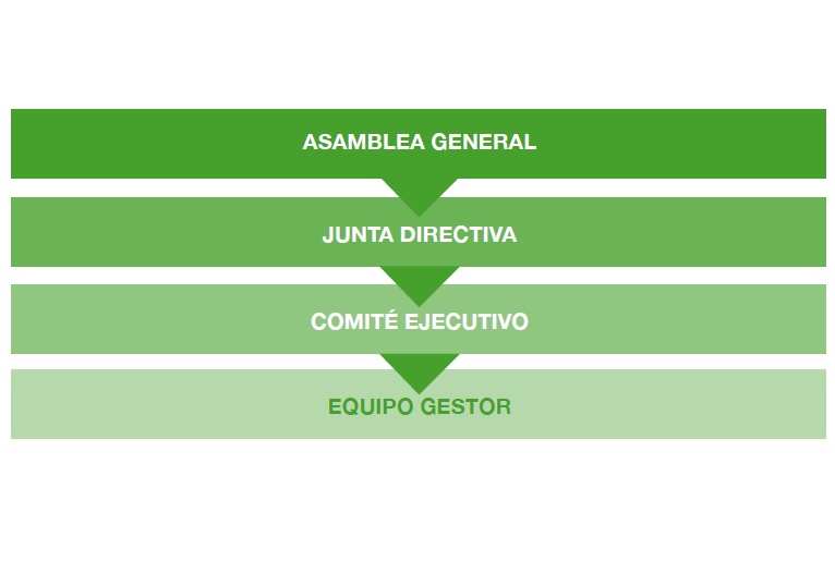 Estructura Organizativa