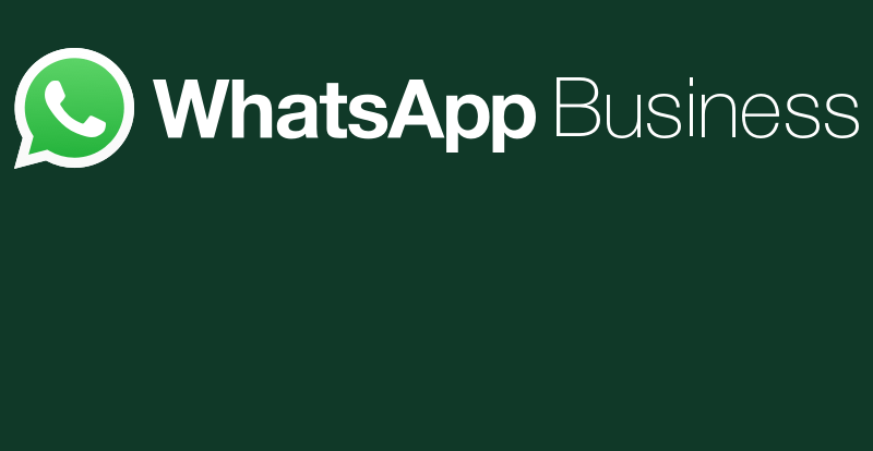 WHATSAPP BUSINESS INSTALATZEA ETA ERABILTZEA