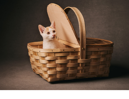 FABILSA GETXO GARDEN